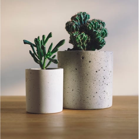 Plantes pots céramique